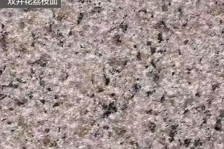 雙井花荔枝面