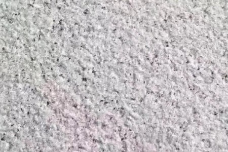白銹荔枝面