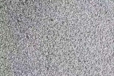 山東芝麻黑荔枝面
