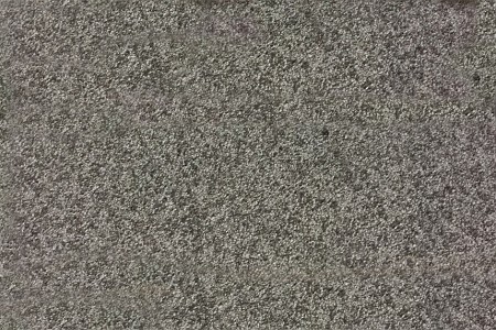 森林綠