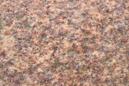 黃金麻火燒面