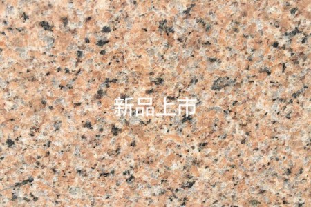 新蝦紅