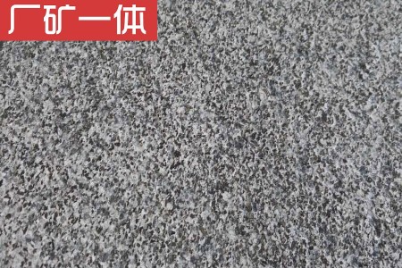 广西芝麻黑
