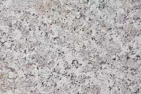 東方紅荔枝面
