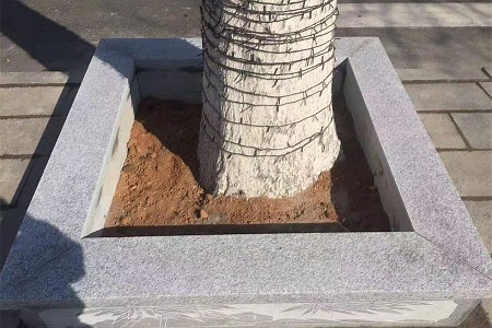 路沿石