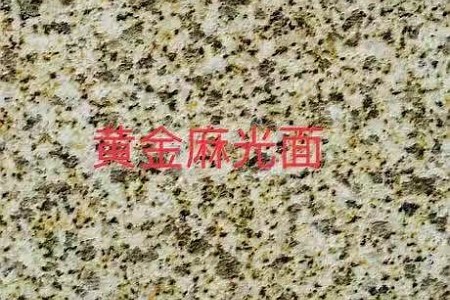 山東黃金麻