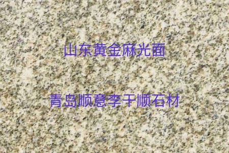 山東黃金麻