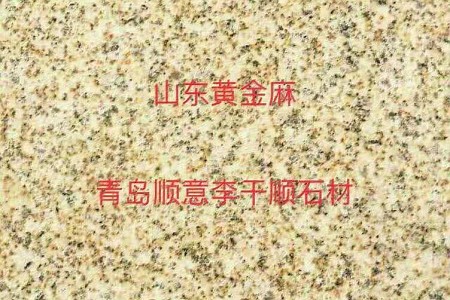 山東黃金麻