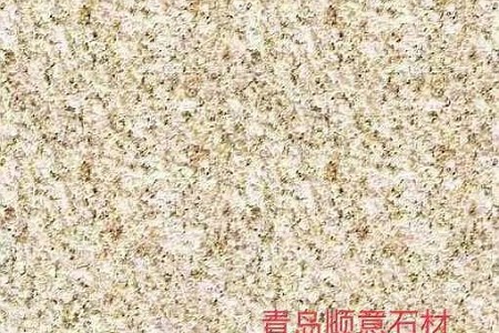 山東黃金麻(中黃)荔枝面