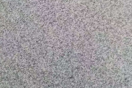 芝麻灰