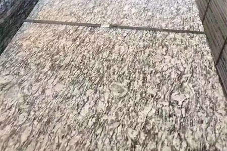 海浪花(浪花白)
