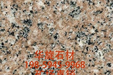 蝦紅G617