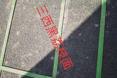 三西黑荔枝面