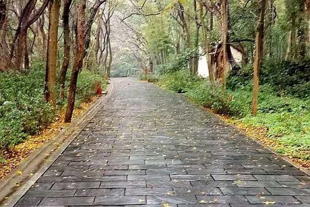 青石板，300×600