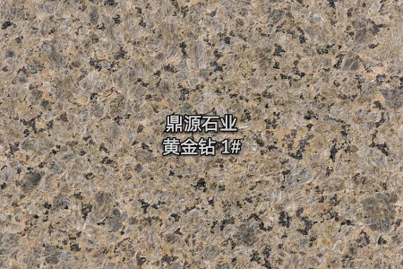 黃金鉆1#