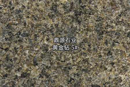 黃金鉆5#