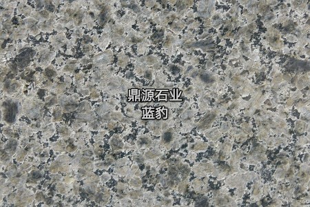 藍豹