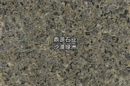 沙漠綠洲
