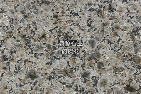 豹皮花