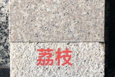 蝦紅