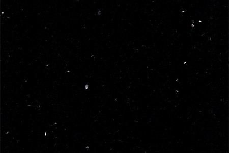 銀星黑