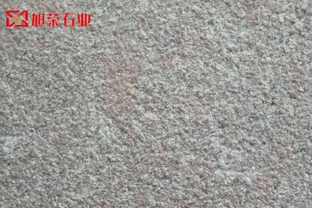 新永定紅荔枝面