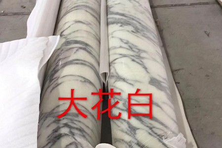 大花白圓柱