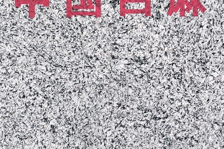 中國白麻