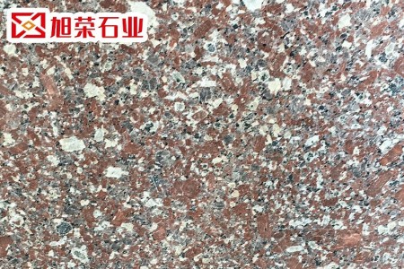 新永定紅