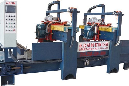 ZHLZM-Q4-900 全自動(dòng)荔枝面機(jī)