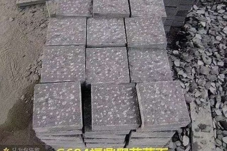 福鼎黑菠蘿面