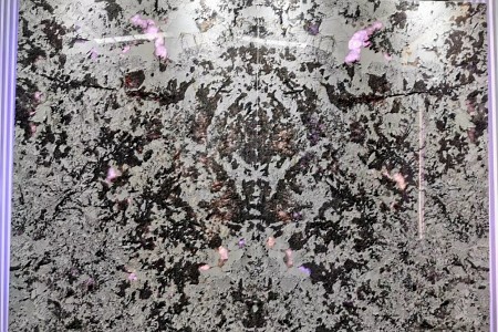 雪山藍(lán)