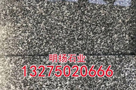 喬治亞灰641