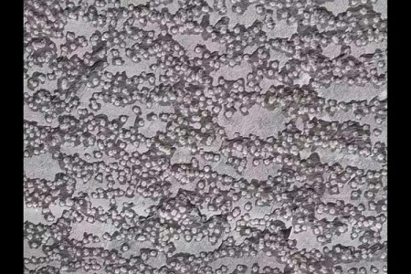 菠蘿鳳梨面