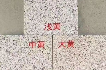 黃銹石大黃中黃淺黃