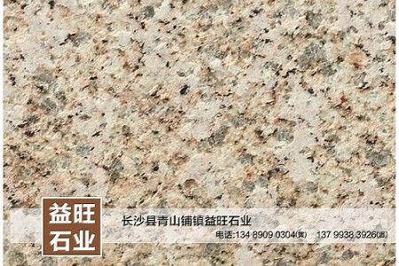 黃金麻火燒面