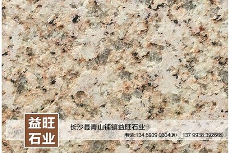 黃金麻火燒面