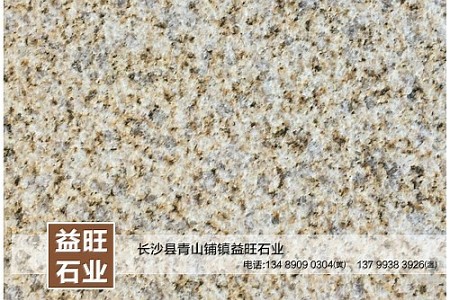 黃金麻荔枝面