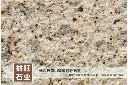 黃金麻荔枝面