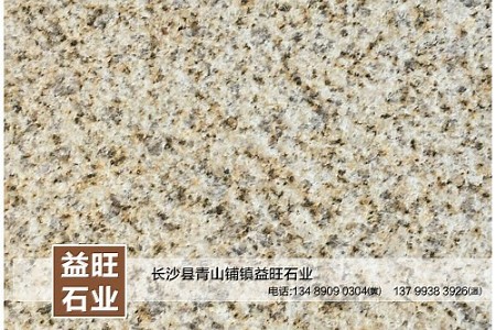 黃金麻荔枝面