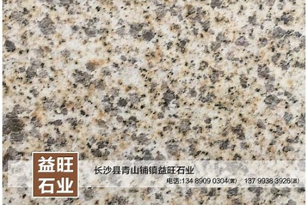 黃金麻中黃