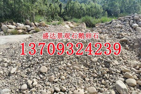 變壓器鵝卵石批發(fā) 鵝卵石過濾器 天然耐磨鵝卵石 河卵石 雨花石