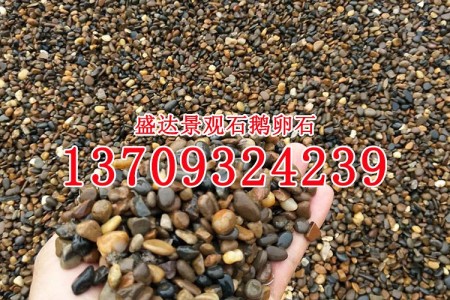 批發(fā)天然耐磨鵝卵石可做過濾層墊層小河卵石自然河石1公分以下