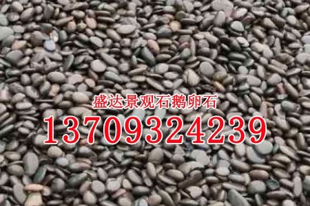 漳州鵝卵石 景觀石 小溪石 河流石 天然河流石 景觀小流溪石