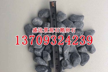 景觀石價格 批發(fā)莆田特小,小,中等,大規(guī)格 溪石大鵝卵石礫石