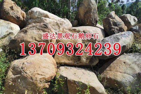 天然石材鵝卵石 景觀石 小 中 大 特大各種規(guī)格景觀石 自然石批發(fā)