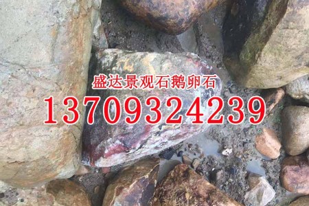 景觀石 鵝卵石 河卵石 泉州漳州大型園林石頭 自然石批發(fā)