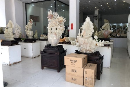 成品展示