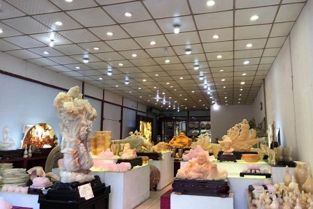 展示