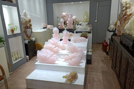 展示